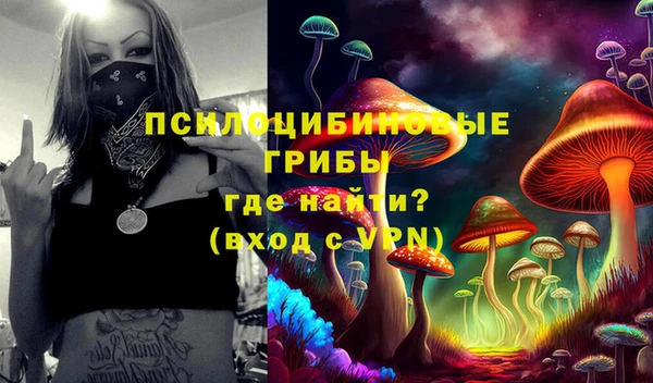 ешки Мегион