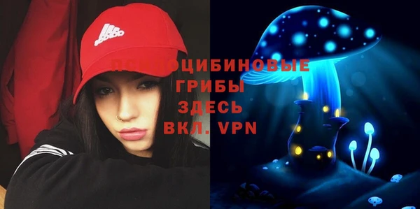 твердый Нефтегорск