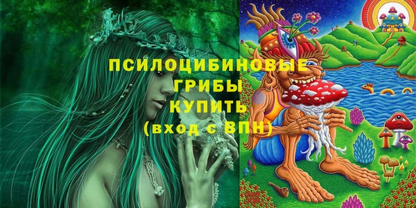 МДПВ Алзамай