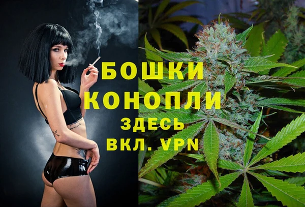 ешки Мегион