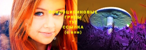 круглые Анива