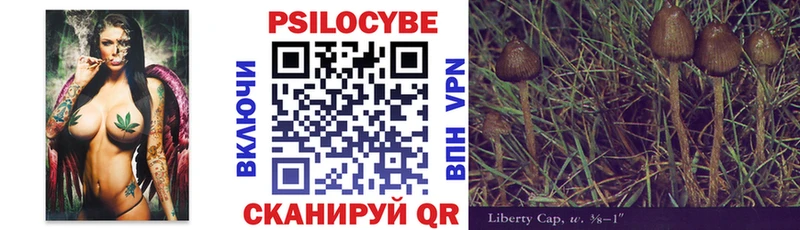 Псилоцибиновые грибы Psilocybe  дарнет шоп  Щучье 